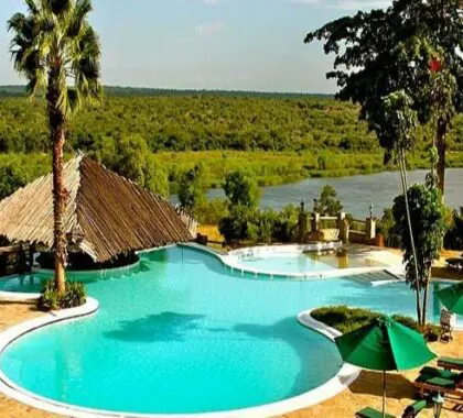 Cool down in the pool after a long morning game drive
