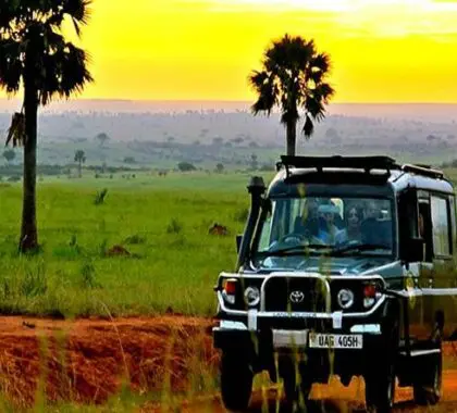 Enjoy the outdoors by game drive, nature walks, chimpanzee trekking, visiting Murchison Falls, fishing, boat trip to the delta or a bush breakfast
