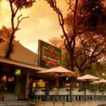 Appreciate delicious food and drinks at the Restaurant.