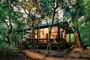 Suite acristalada del Phinda Forest Lodge.