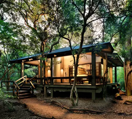 Suite acristalada del Phinda Forest Lodge.