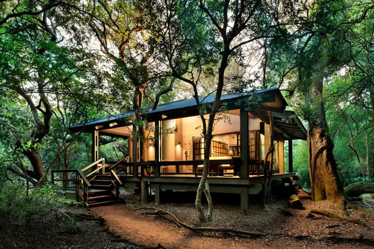Phinda Forest Lodge glass-fronted suite.