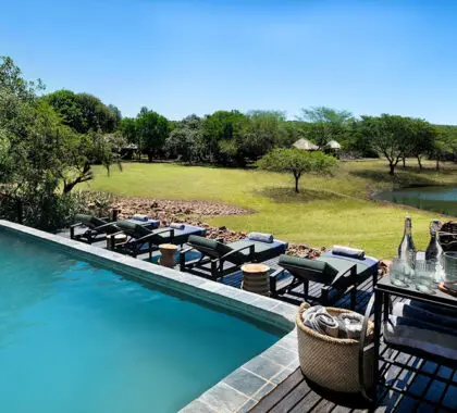 The swimming pool and loungers all overlook the waterhole so you don't miss a sighting while relaxing. 