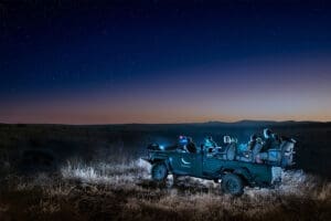 Safari nocturno en Phinda. 