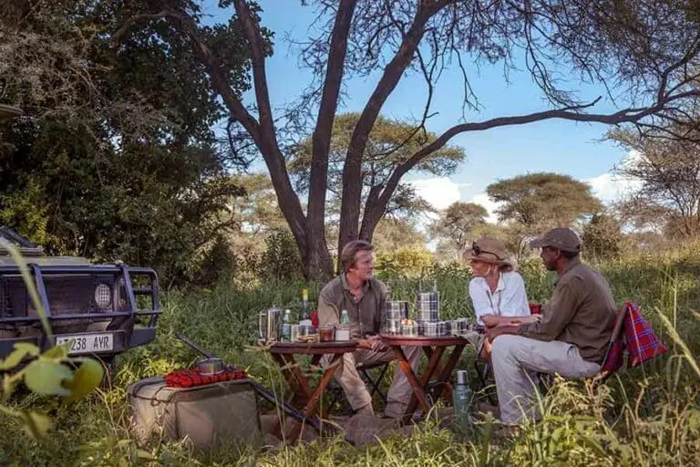 Picnics en el Parque Nacional de Tarangire.