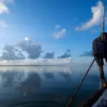 Zarpe en un dhow tradicional para conocer la auténtica vida marina de la diminuta isla de Mafia, en Tanzania.
