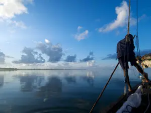 Zarpe en un dhow tradicional para conocer la auténtica vida marina de la diminuta isla de Mafia, en Tanzania.