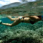 La isla de Mafia ofrece algunas de las condiciones de buceo y submarinismo más claras de África Oriental.