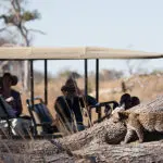 Game drive