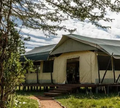 porini-amboseli-camp-tent-banner