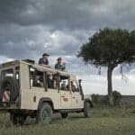 On an evening game drive your chances of seeing wildlife is very high
