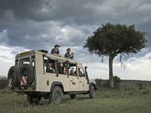 On an evening game drive your chances of seeing wildlife is very high
