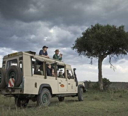 On an evening game drive your chances of seeing wildlife is very high
