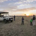 Aventúrese en safaris.