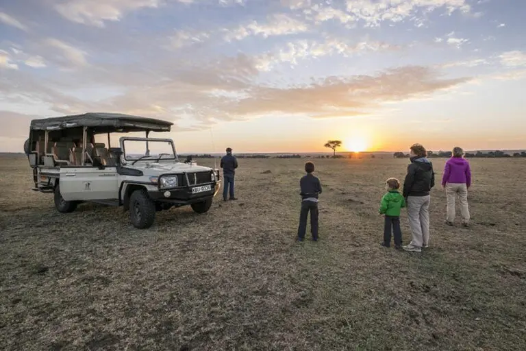 Venture out on game drives.
