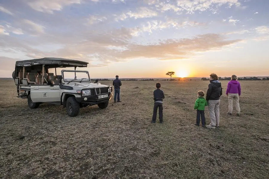 Aventúrese en safaris.
