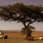 Bush breakfast with Porini Mara Camp.