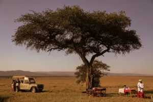 Bush breakfast with Porini Mara Camp.