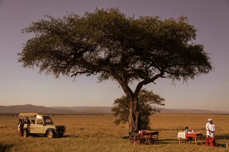 Bush breakfast with Porini Mara Camp.