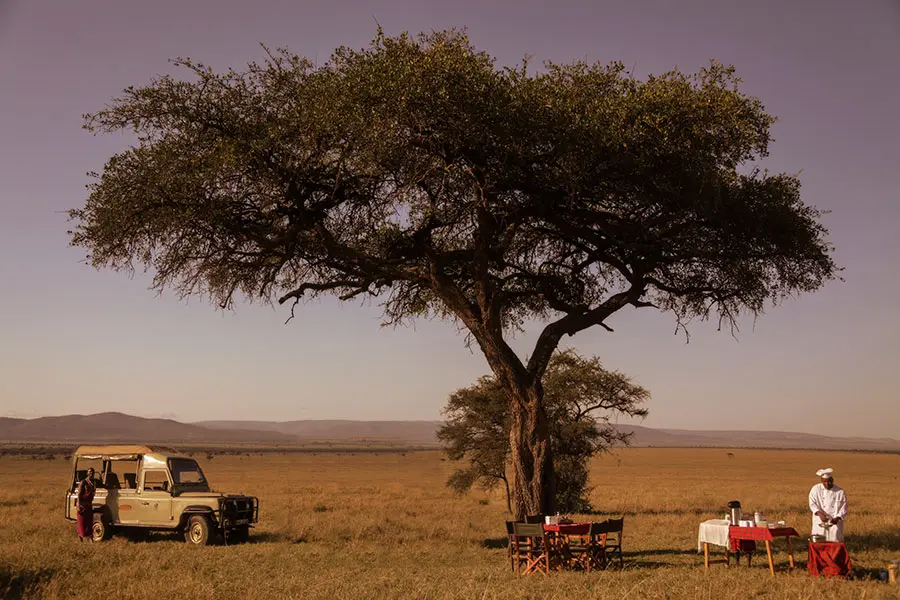 Porini-Mara-Camp-Bush_Breakfast