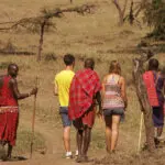 Guided bush walk with the Maasai.