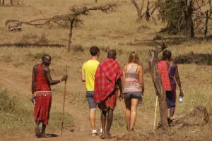 Guided bush walk with the Maasai.