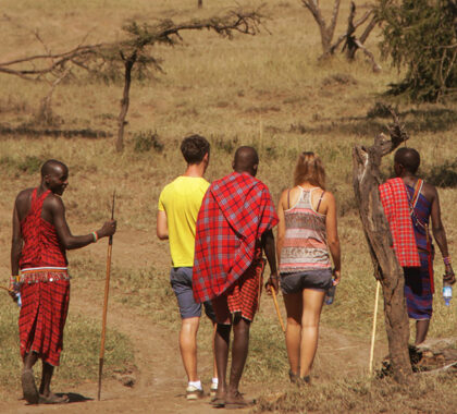 Guided bush walk with the Maasai.
