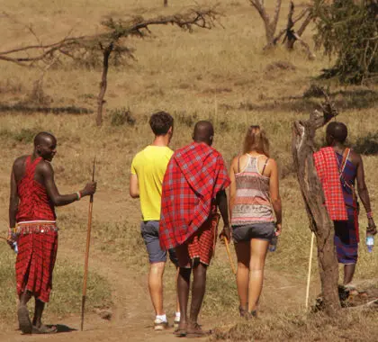 Paseo guiado por la sabana con los masai.