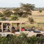 A lion sighting while on a game drive.