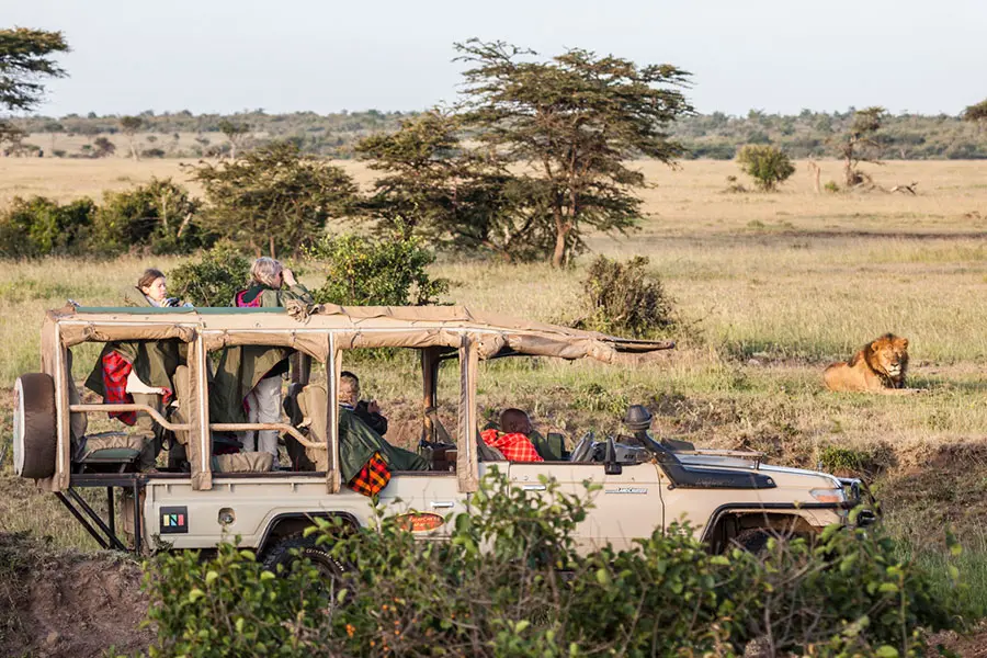 Porini-Mara-Camp-lion-sighting