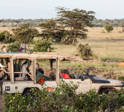 Safari por el Maasai Mara, Ol Kinyei Conservancy en Kenia.