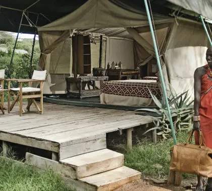 top-safari-marcas-18