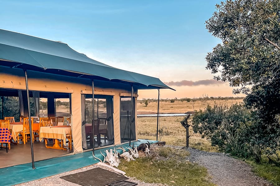 Relax at Porini Rhino Camp. 