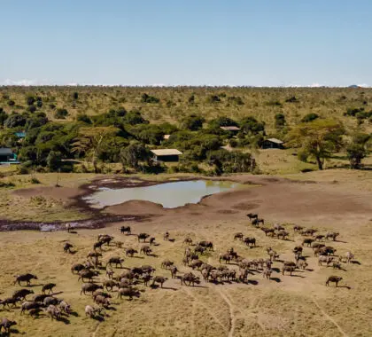 porini-rhino-camp-aerial-view-banner