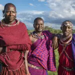 Los guías y el personal maasai se enorgullecen de mostrar los paisajes y la fauna de su país de origen.