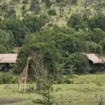 El Porini Rhino Camp está situado en una reserva natural de 90.000 acres.