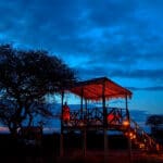 Atmosférica cena en el monte.