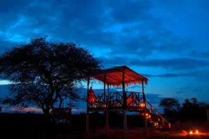 Atmosférica cena en el monte.