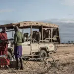 Una parada para beber y picar algo durante un safari vespertino.