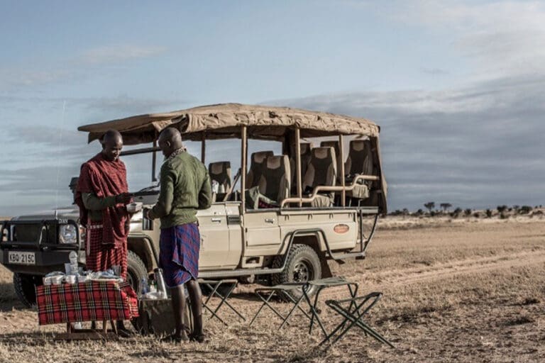 A drinks & snack  stop on an afternoon game drive.