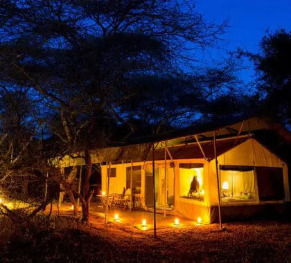 Porini_Amboseli_Camp_exterior-tent