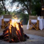 A bush dinner under the stars.