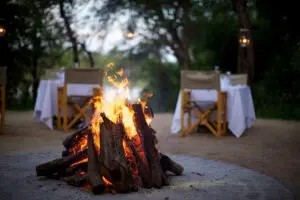 A bush dinner under the stars. 
