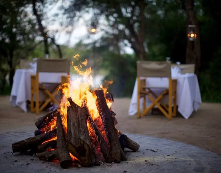 A bush dinner under the stars. 