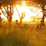Soak up the sights, sounds and smells of the African savannah with an early morning bush breakfast.