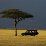 Las ubicaciones privadas le permitirán disfrutar de avistamientos exclusivos y de un número reducido de vehículos en sus safaris.