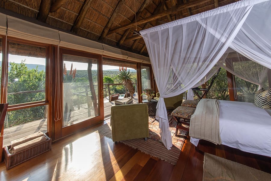 pumba-msenge-bush-lodge-eastern-cape-bush-lodge-chalet-_1