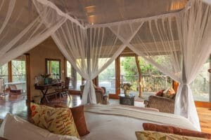 pumba-msenge-bush-lodge-eastern-cape-bush-lodge-chalet-_7