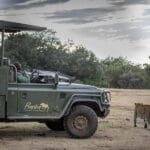 Recorridos en vehículos Big 5.