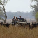 Exhilarating 4x4 game drives in Tafika’s open-sided and open-topped vehicles.